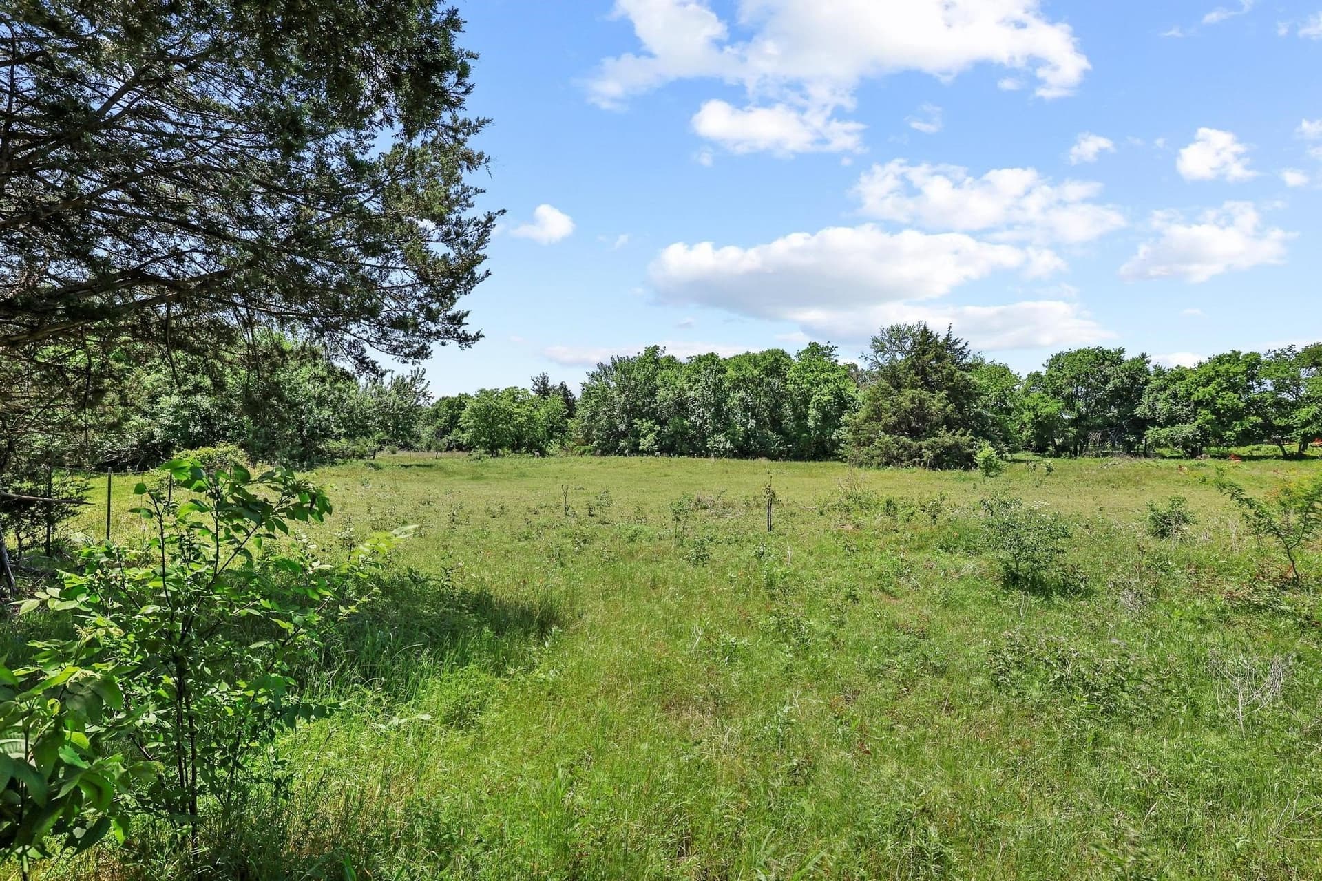 96.27 acres in Grayson County - photo 38