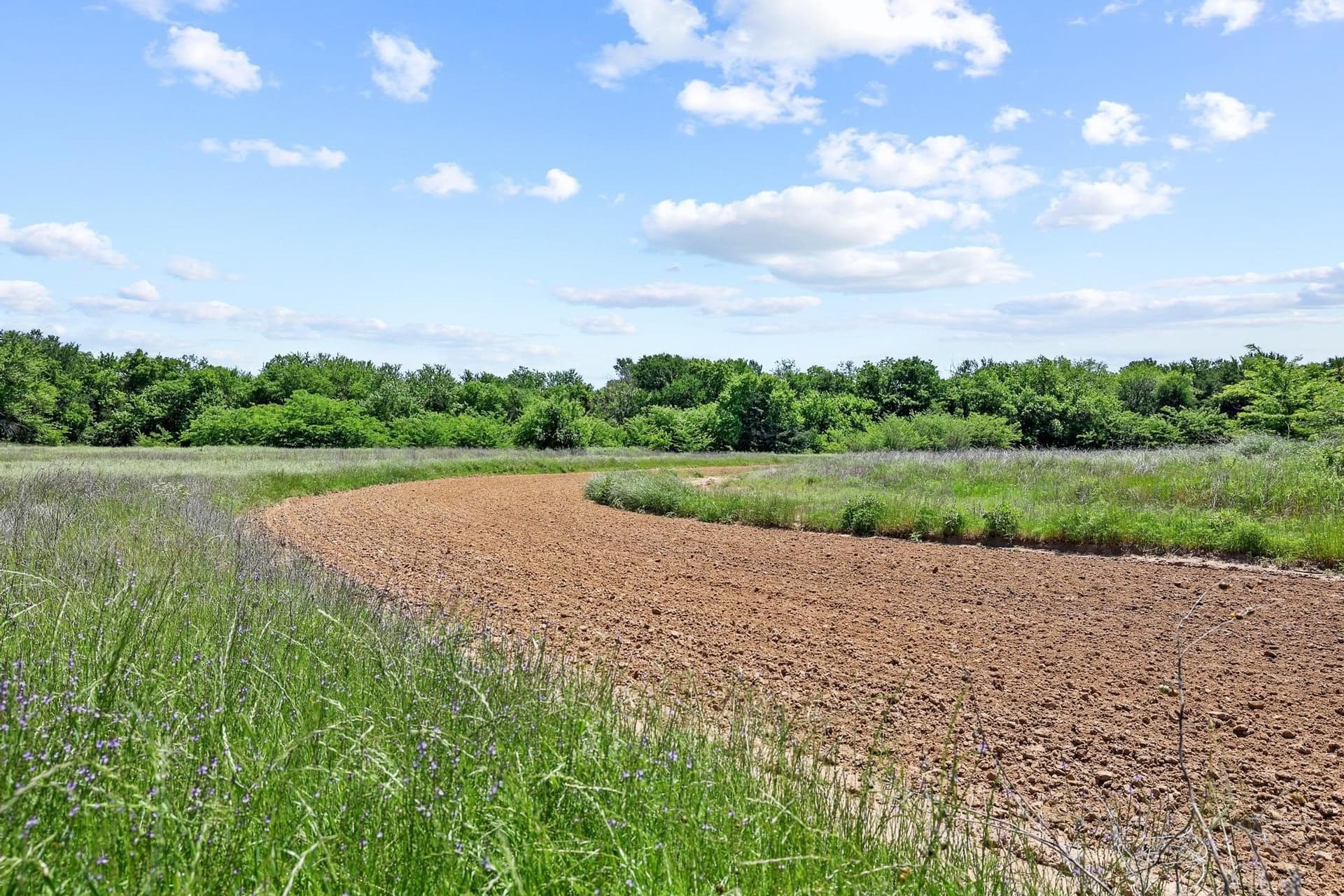 96.27 acres in Grayson County - photo 36