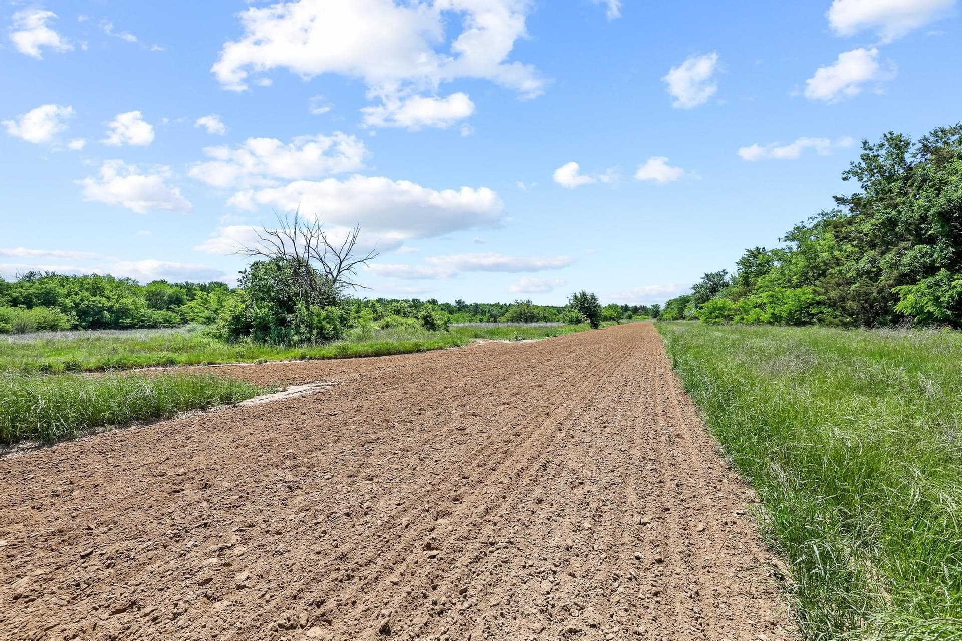 96.27 acres in Grayson County - photo 35