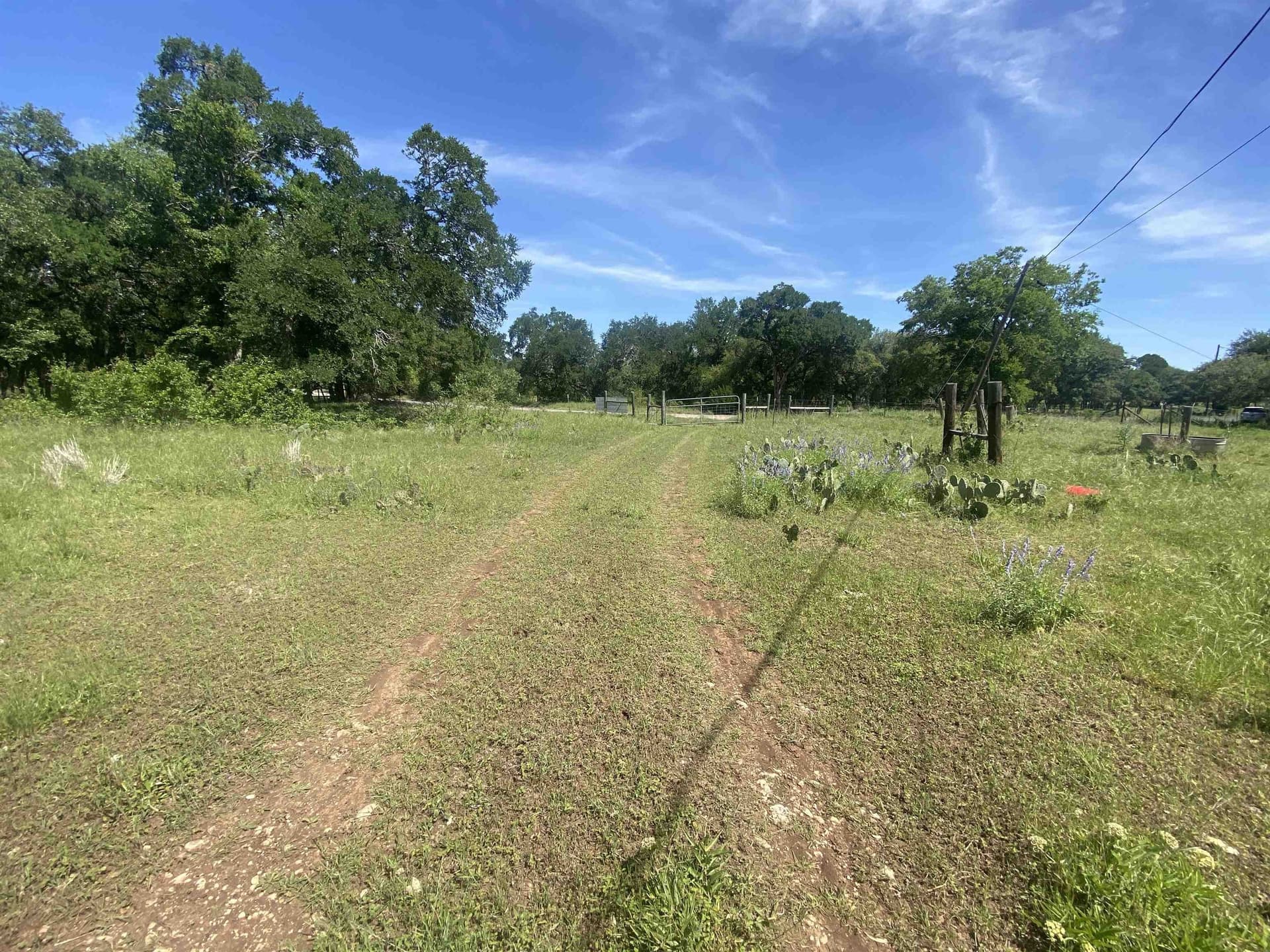 17.7 acres in Williamson County - photo 6