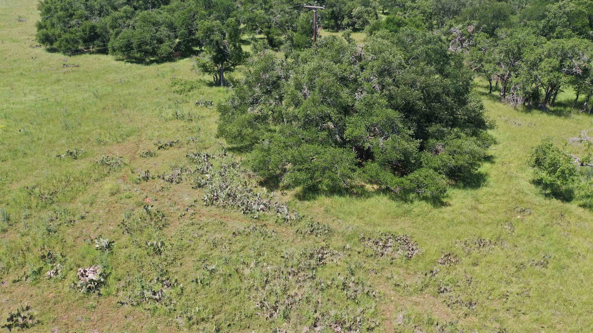 17.7 acres in Williamson County - photo 19