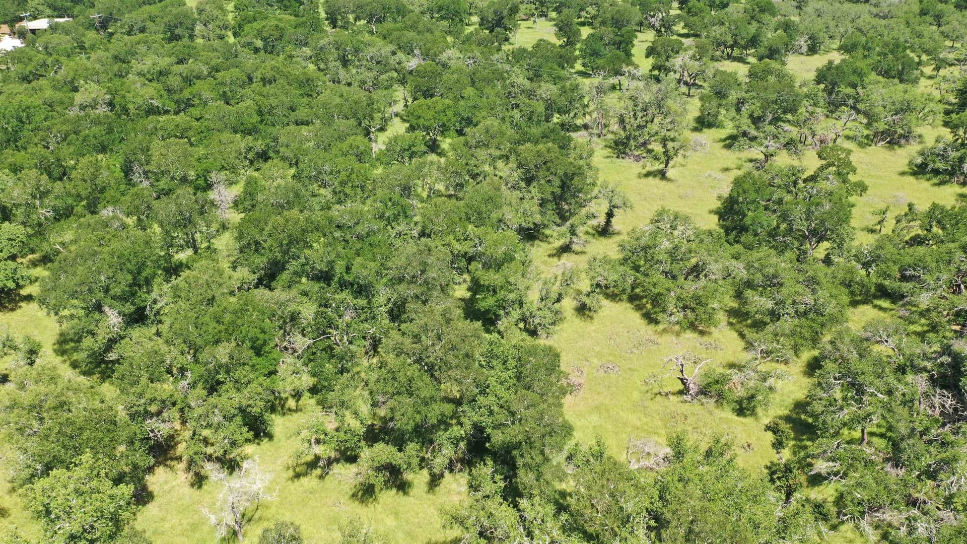 17.7 acres in Williamson County - photo 21