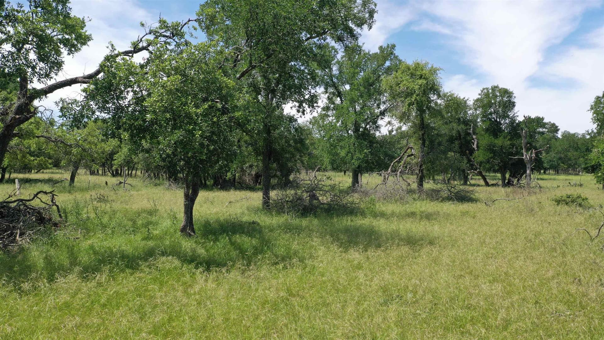 17.7 acres in Williamson County - photo 12
