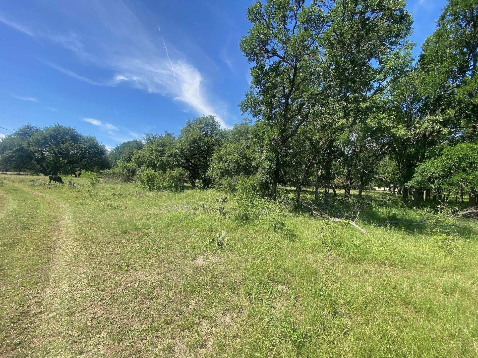 17.7 acres in Williamson County - photo 9