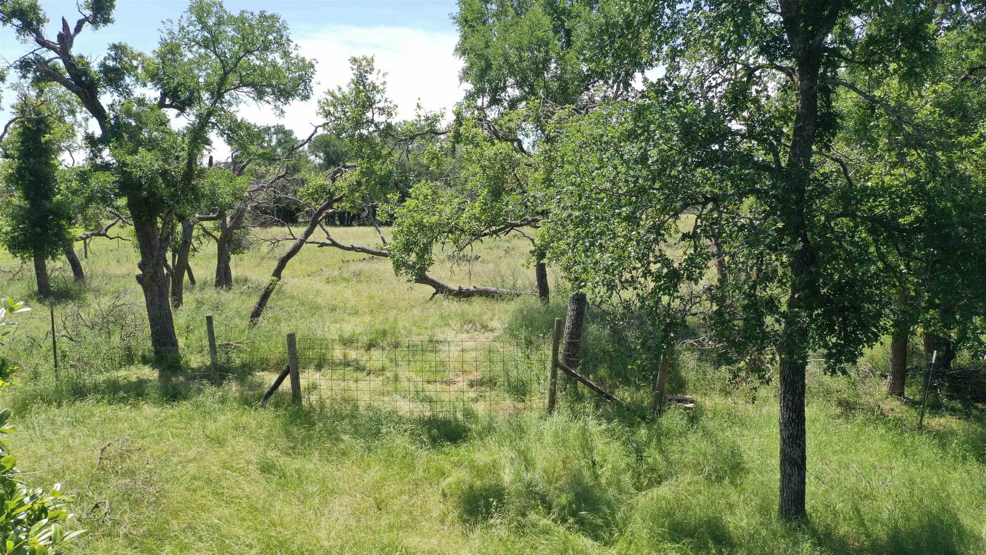 17.7 acres in Williamson County - photo 15