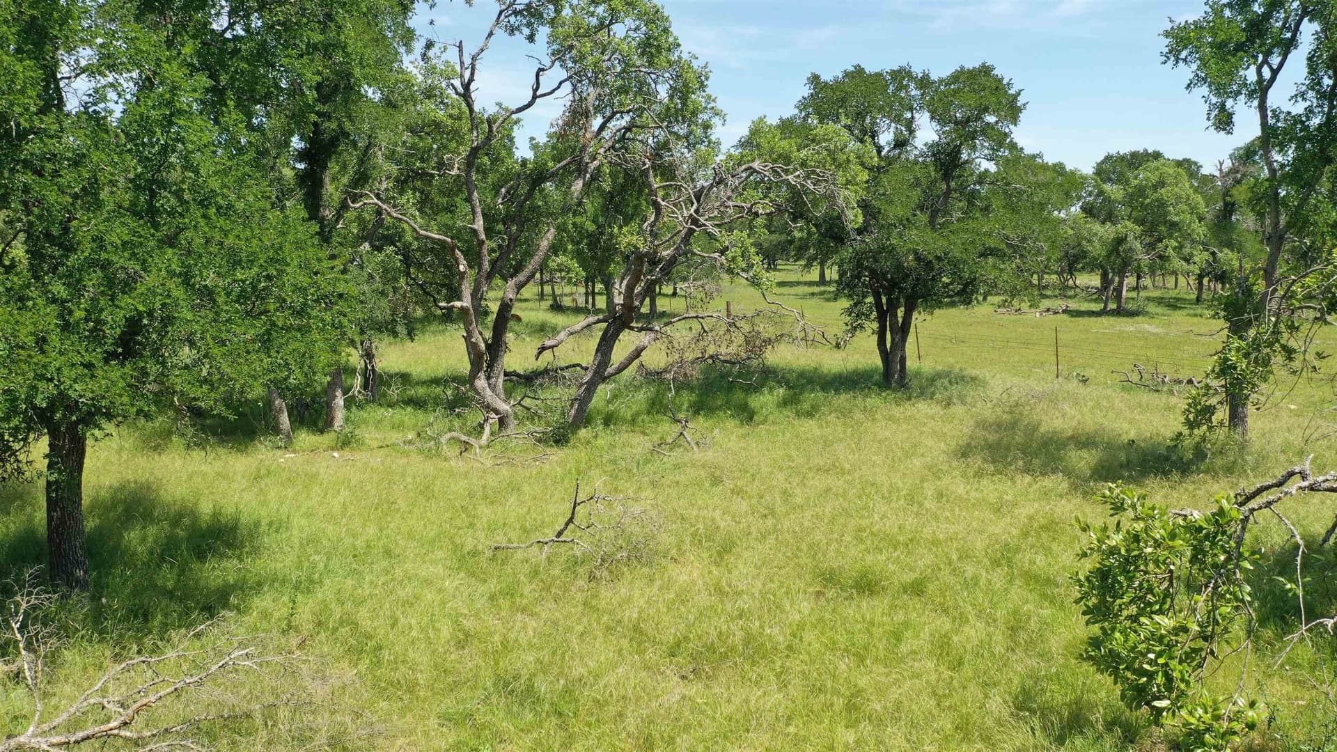 17.7 acres in Williamson County - photo 14