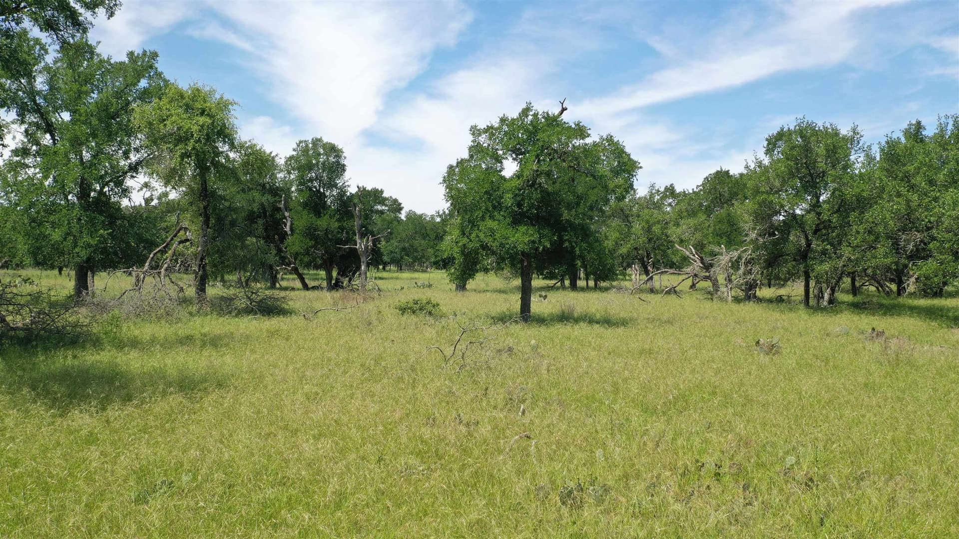 17.7 acres in Williamson County - photo 11