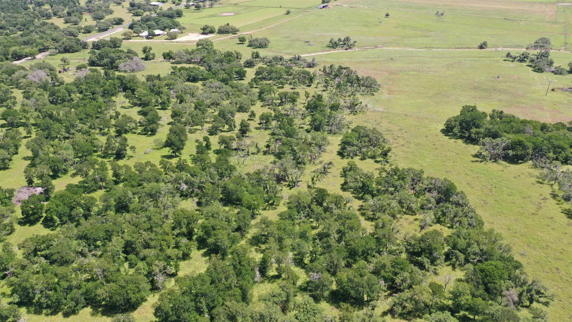 17.7 acres in Williamson County - photo 18