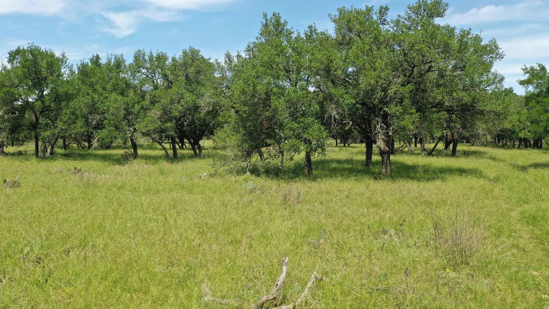 17.7 acres in Williamson County - photo 10