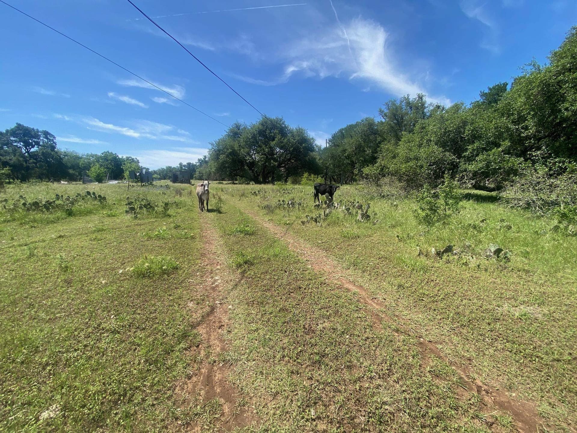 17.7 acres in Williamson County - photo 8