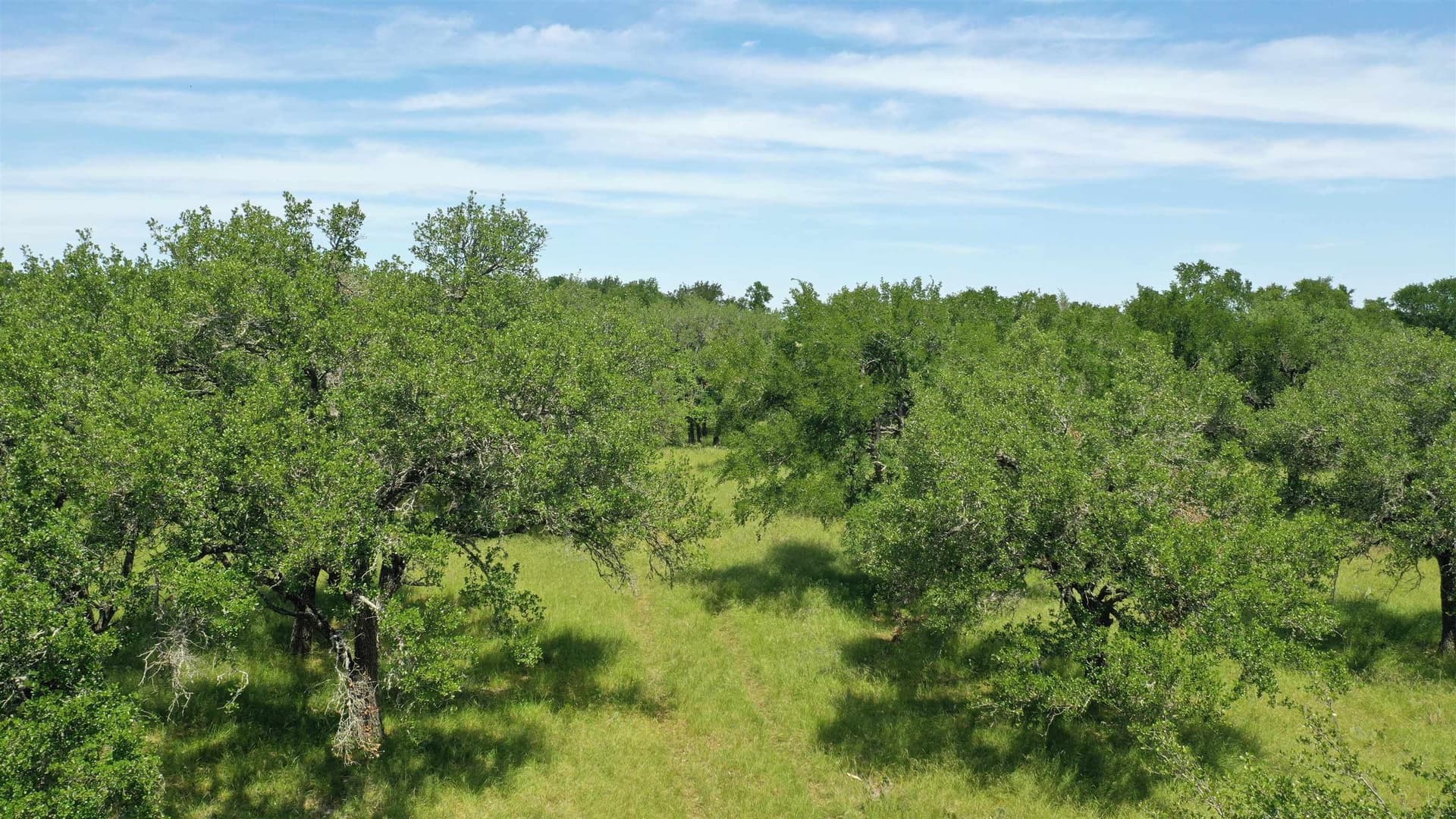 17.7 acres in Williamson County - photo 16