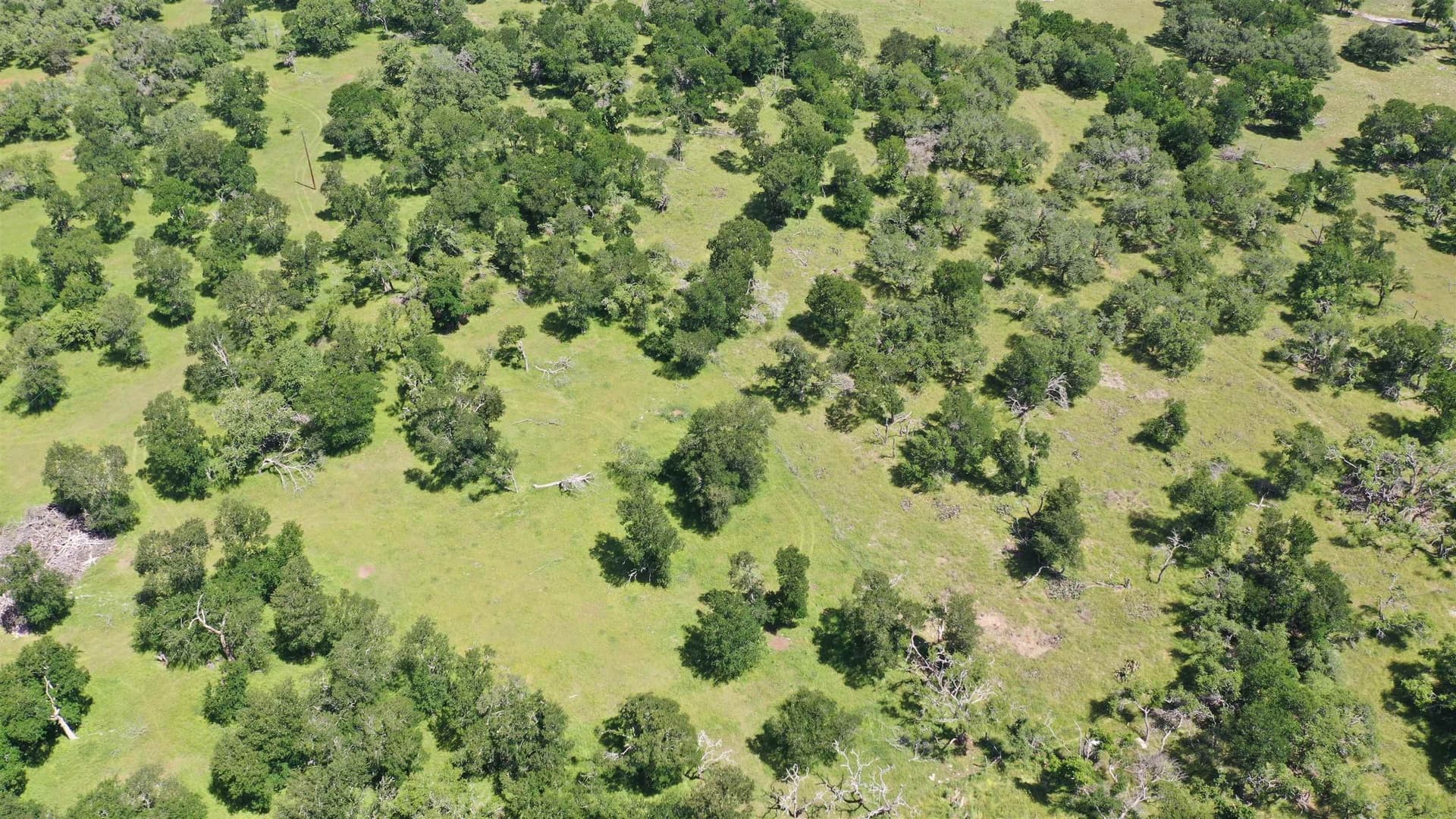 17.7 acres in Williamson County - photo 17