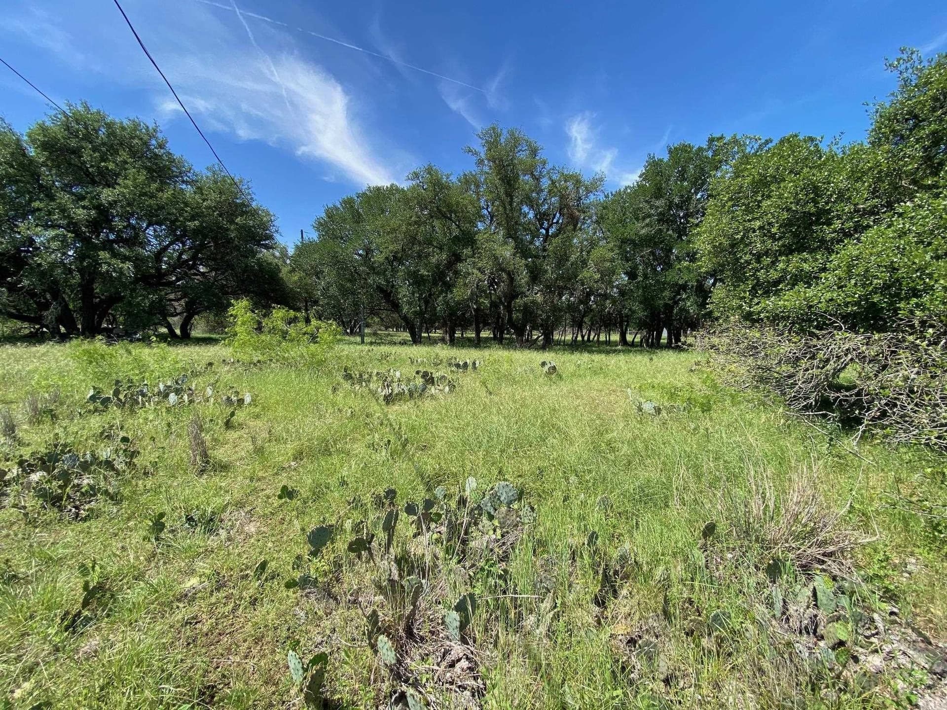 17.7 acres in Williamson County - photo 13
