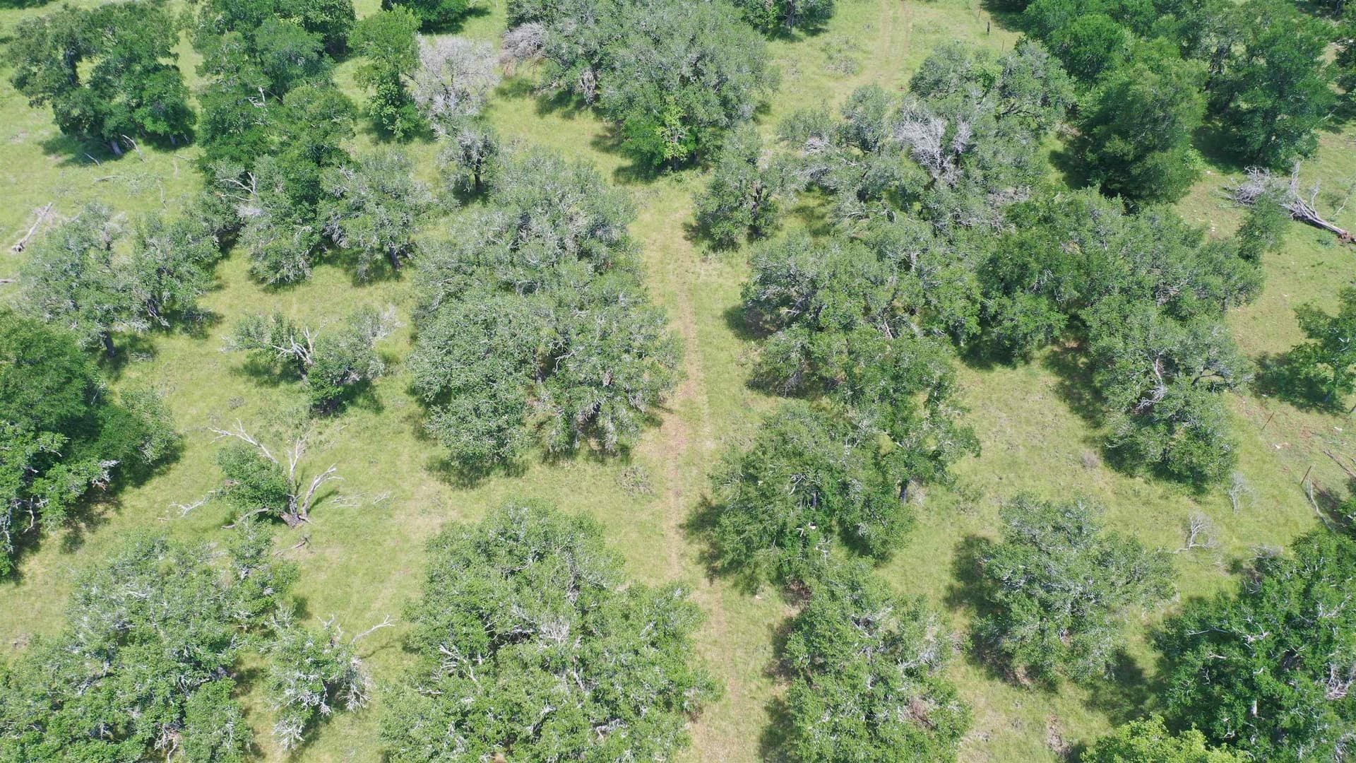 17.7 acres in Williamson County - photo 22