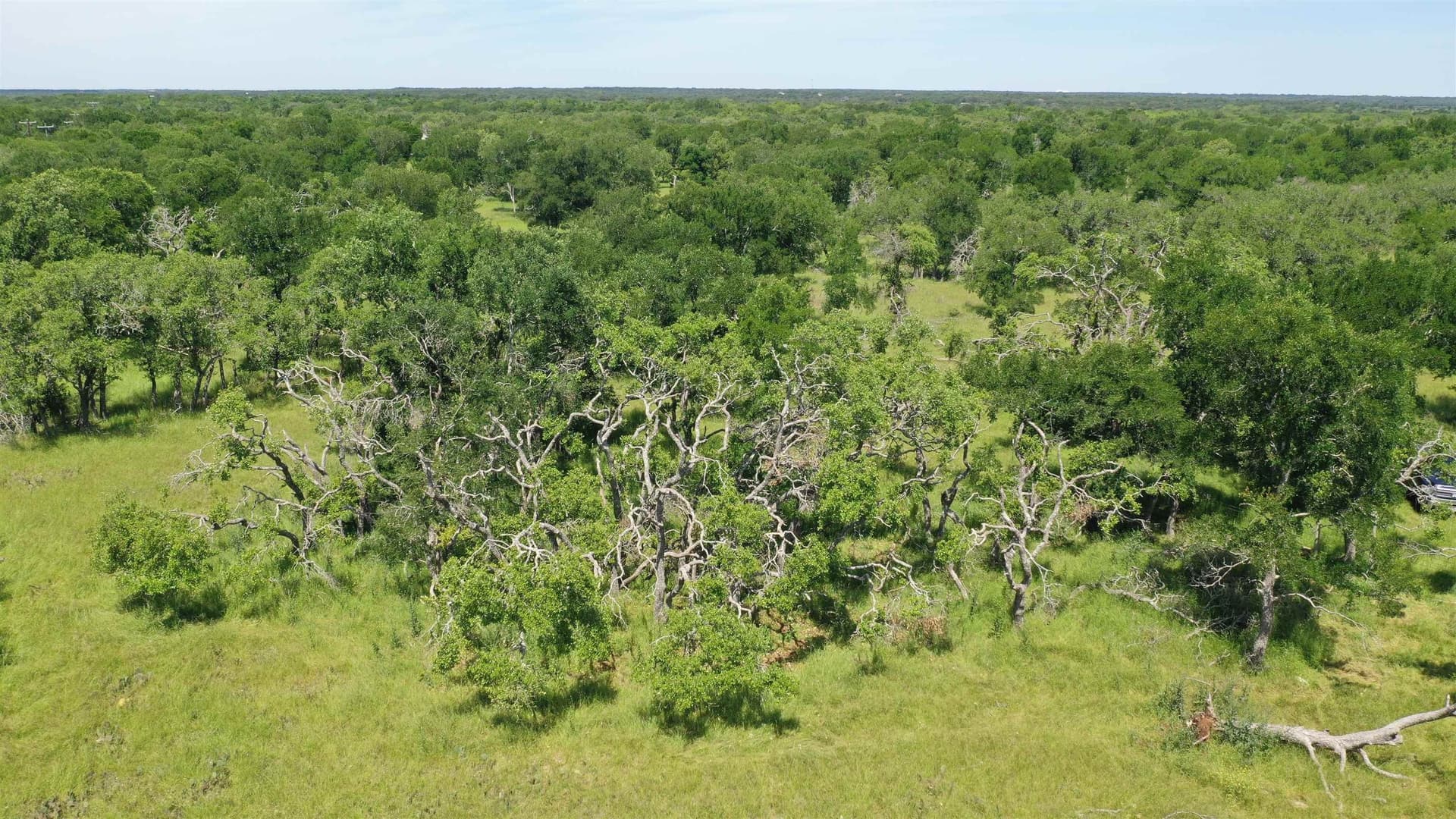 17.7 acres in Williamson County - photo 20