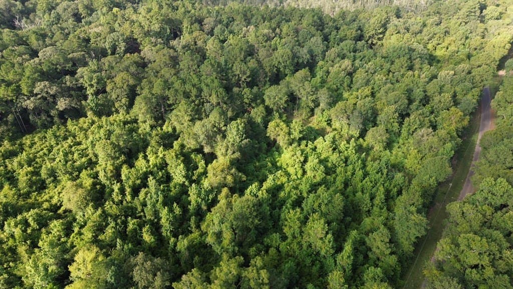 4.6 acres in Texas County gallery image 3