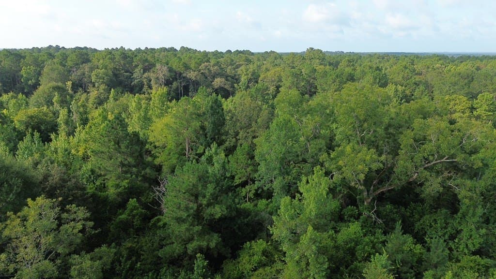 4.6 acres in Texas County gallery image 2