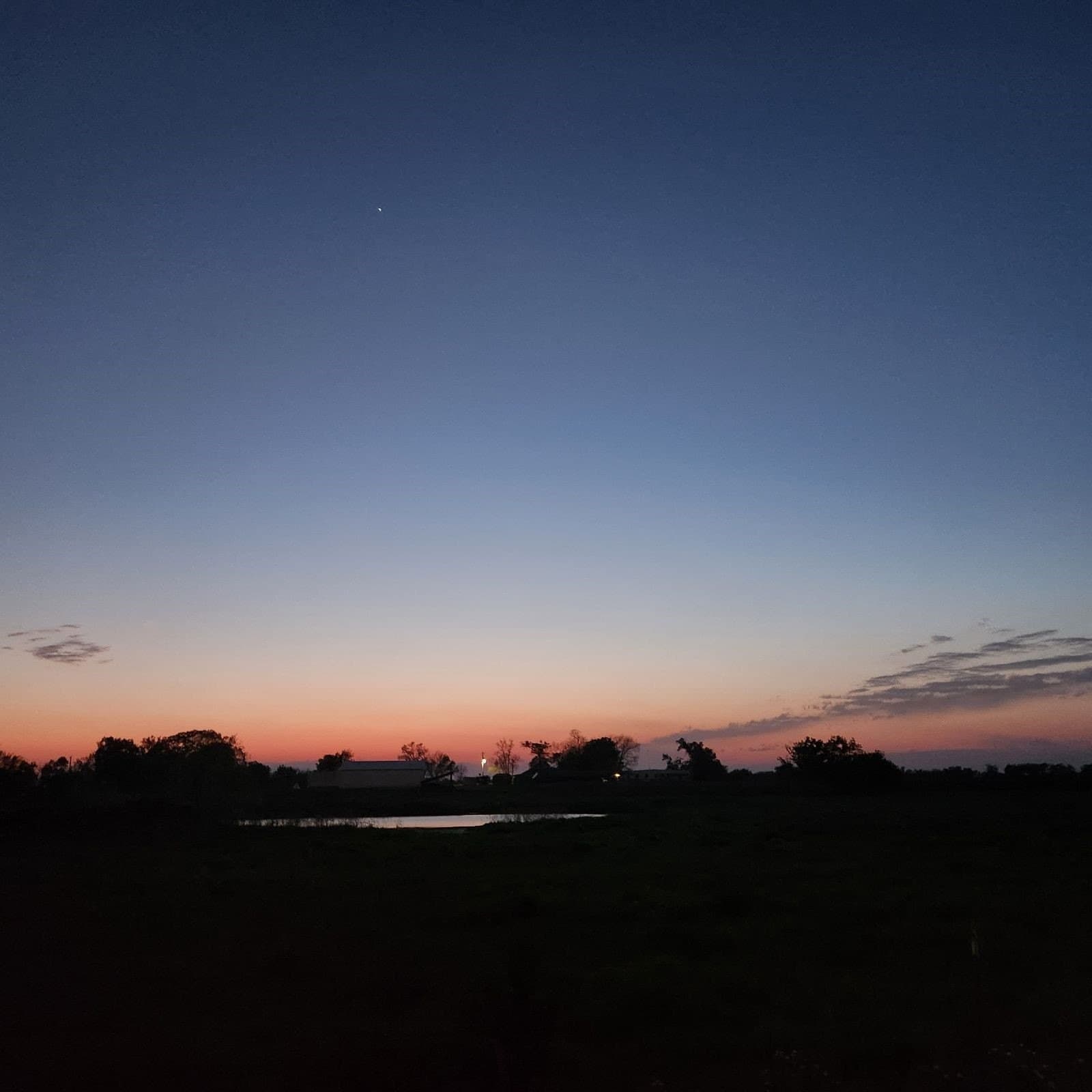 61.32 acres in Rains County - photo 4