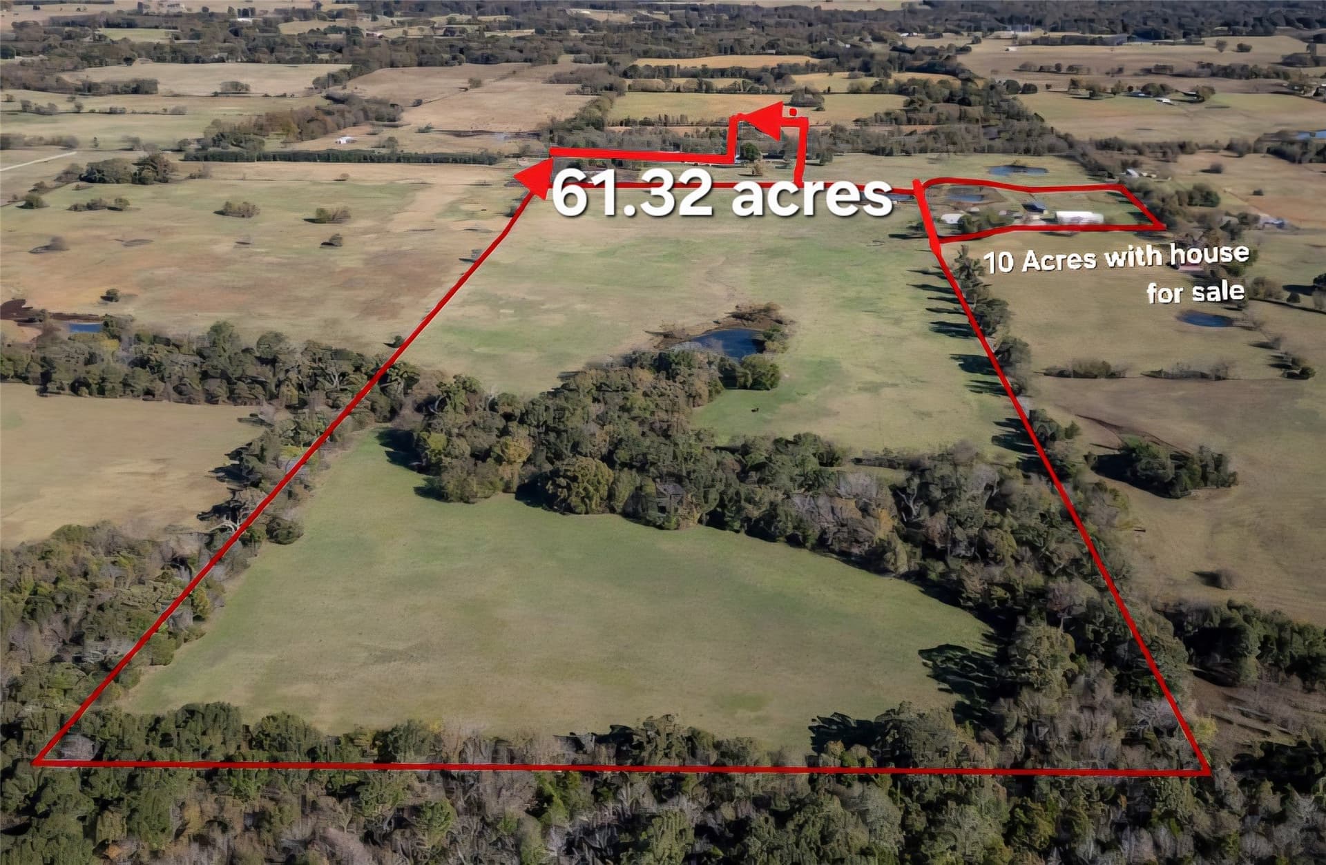 61.32 acres in Rains County - photo 2