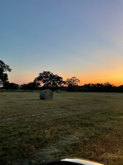 61.32 acres in Rains County