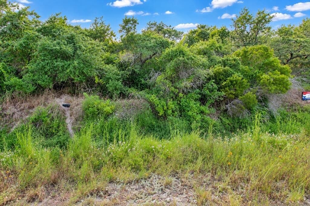 0.14 acres in Texas County - photo 3