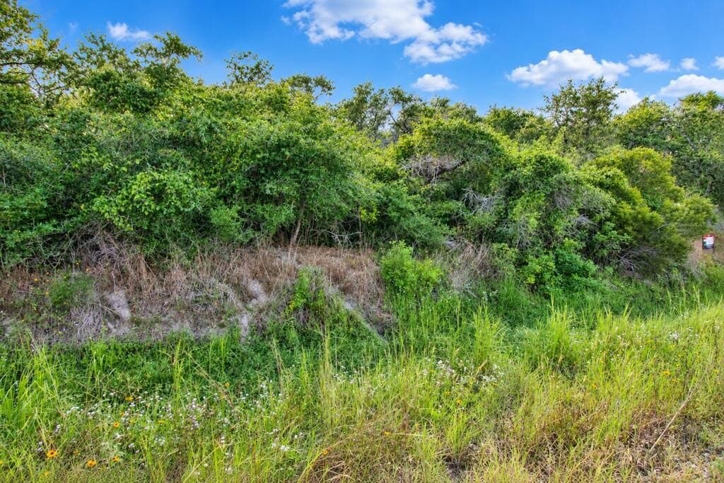 0.14 acres in Texas County - photo 2