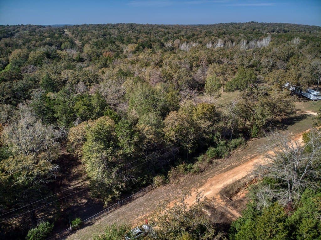 2.78 acres in Burleson County gallery image 2