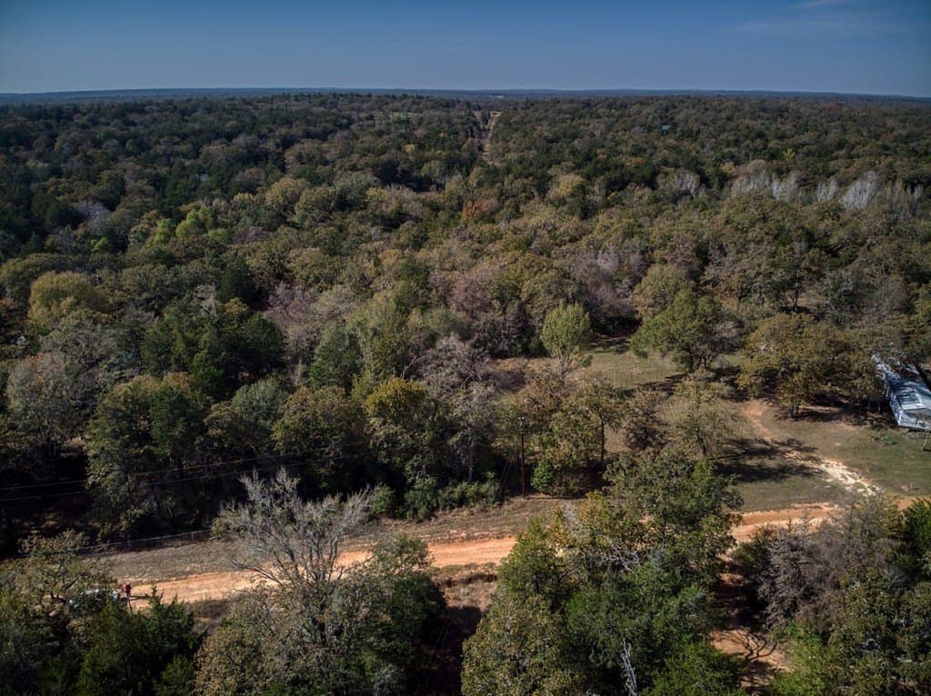 2.78 acres in Burleson County gallery image 3