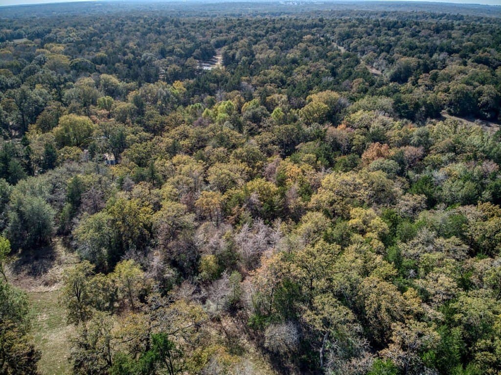 2.78 acres in Burleson County featured view