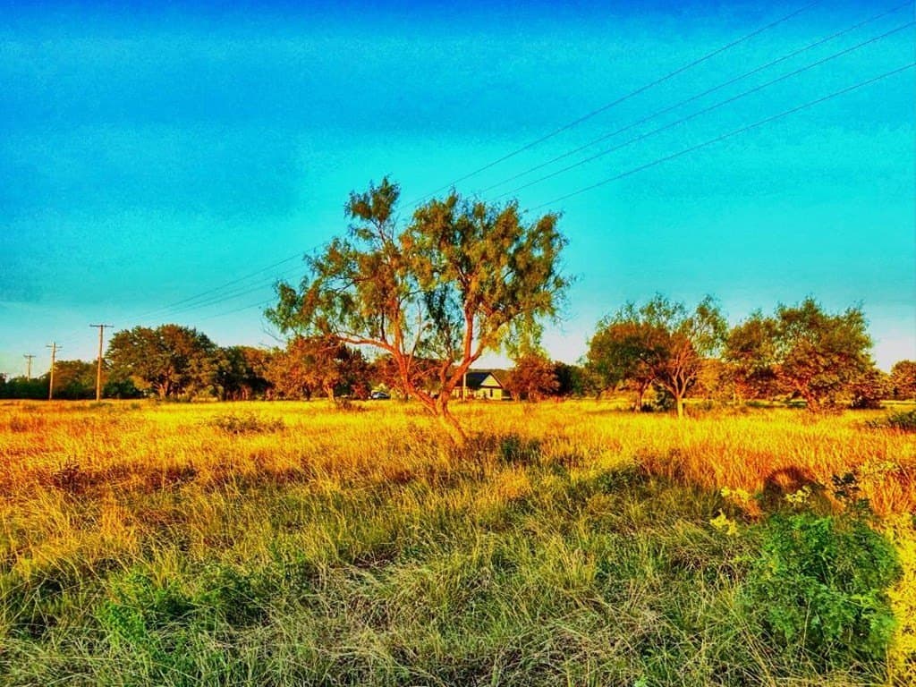 2.68 acres in Real County gallery image 3