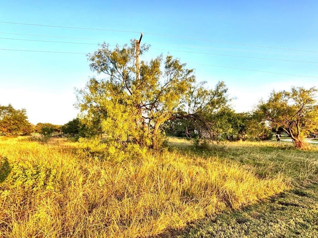 2.68 acres in Real County gallery image 2