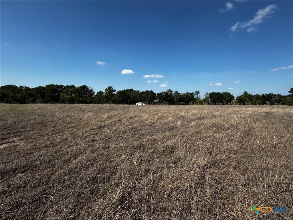 3.01 acres in Milam County gallery image 4