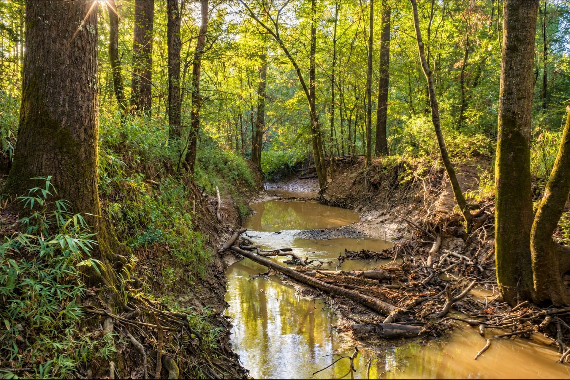 126 acres in Panola County - photo 6
