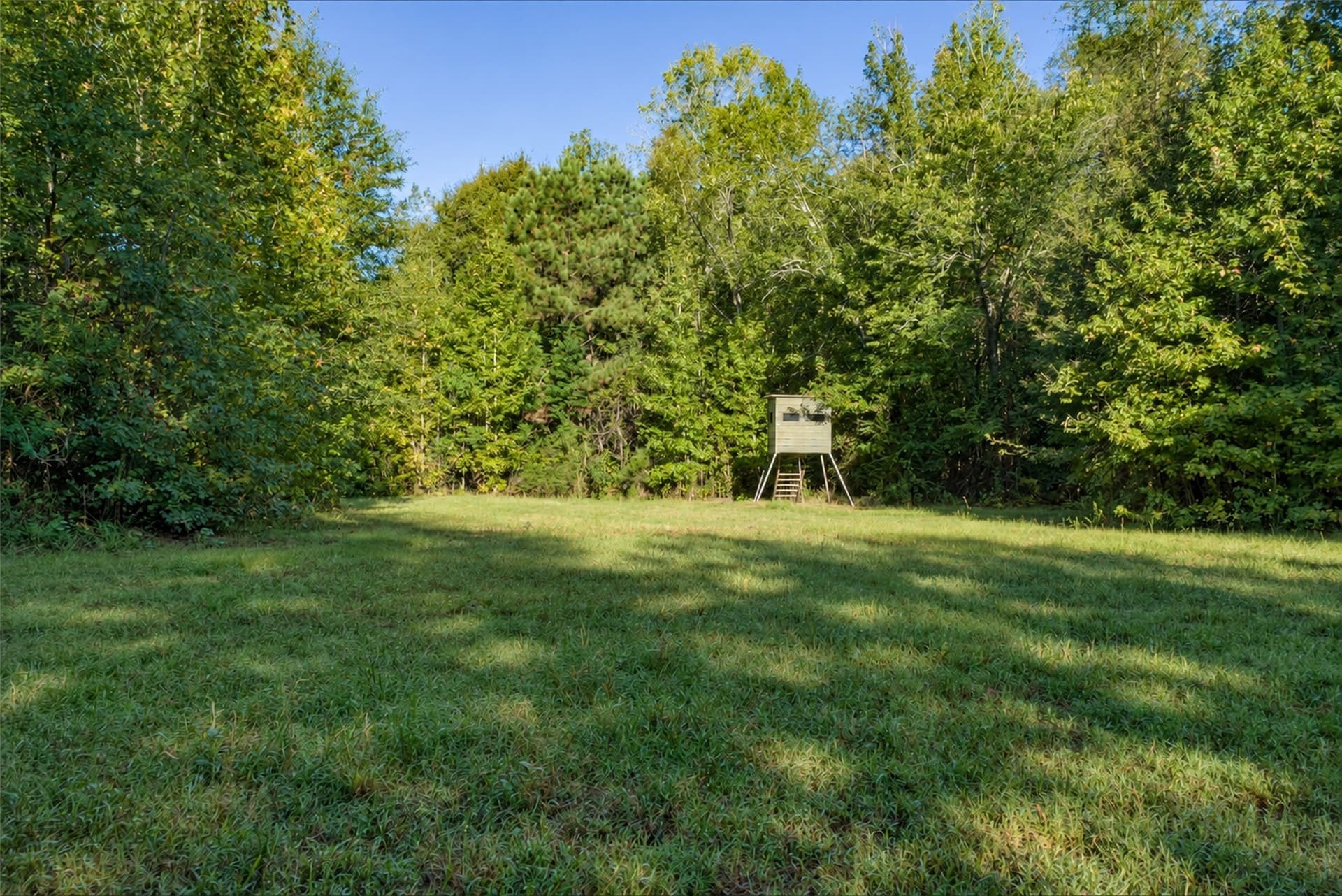 126 acres in Panola County - photo 5