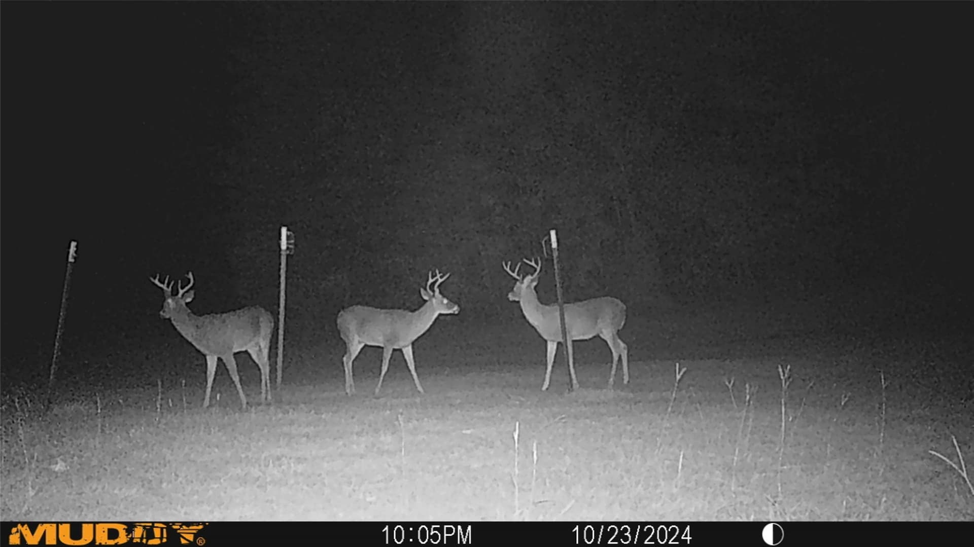 126 acres in Panola County - photo 39