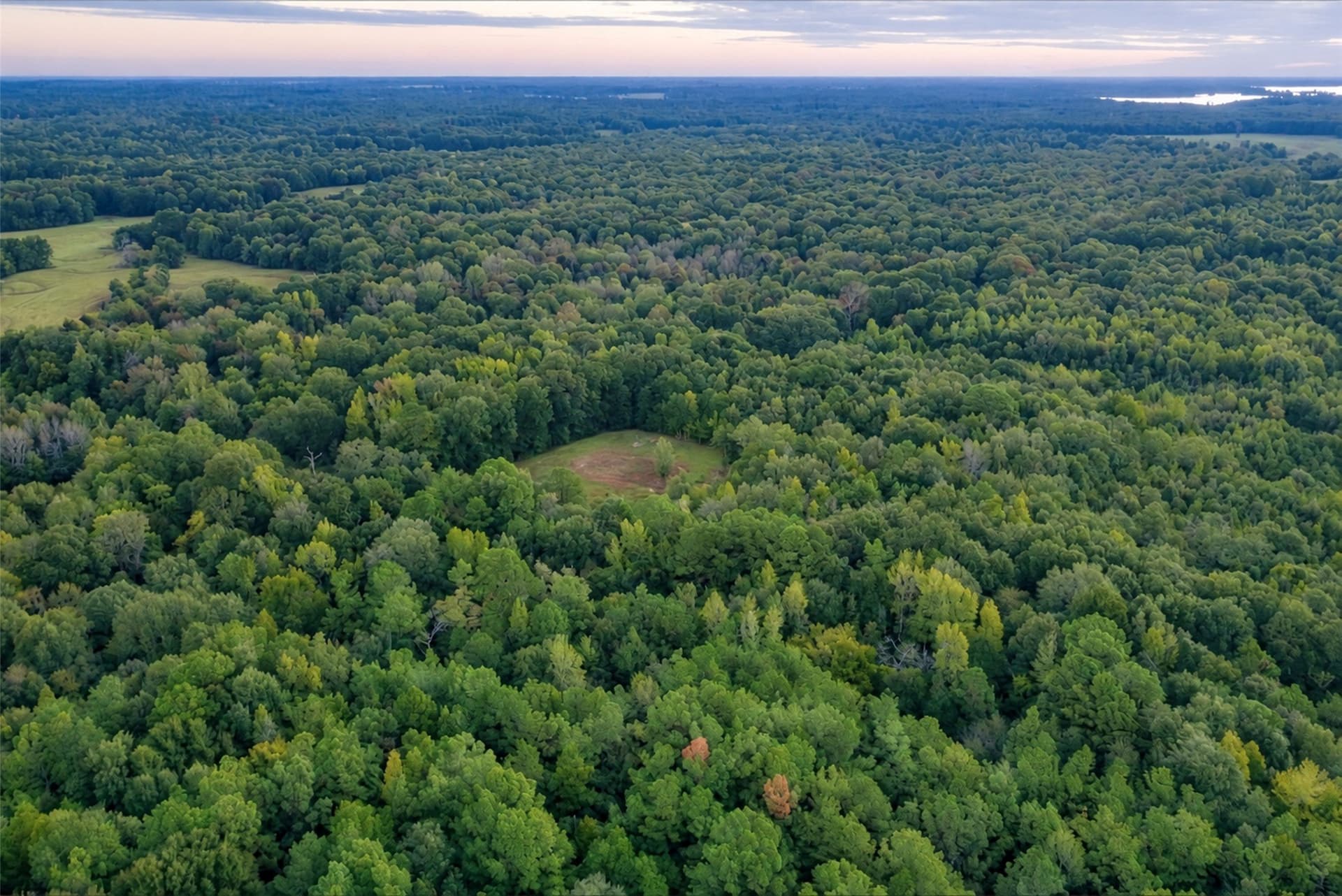 126 acres in Panola County - photo 38