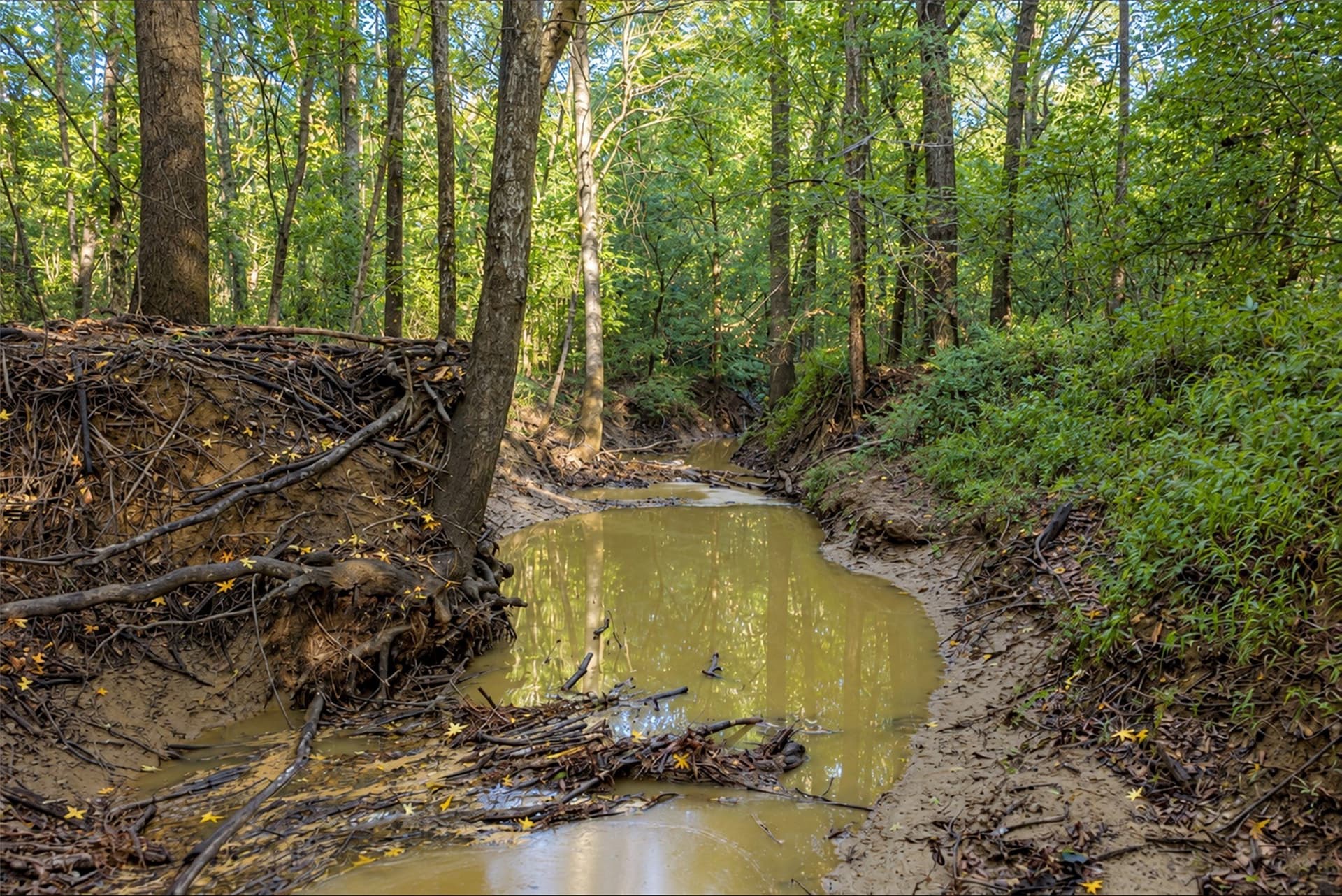 126 acres in Panola County - photo 33