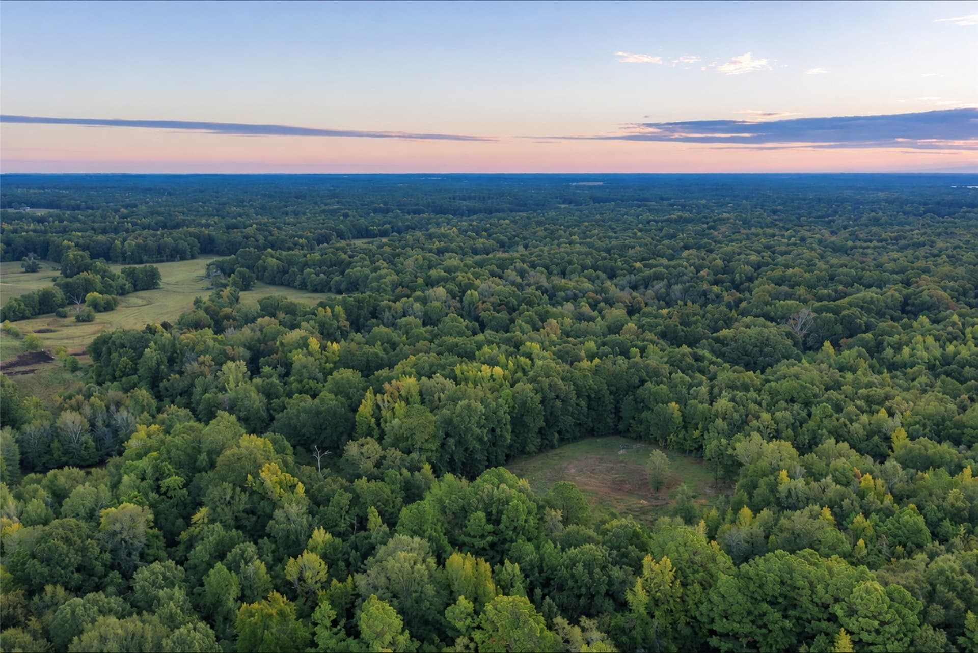 126 acres in Panola County - photo 32