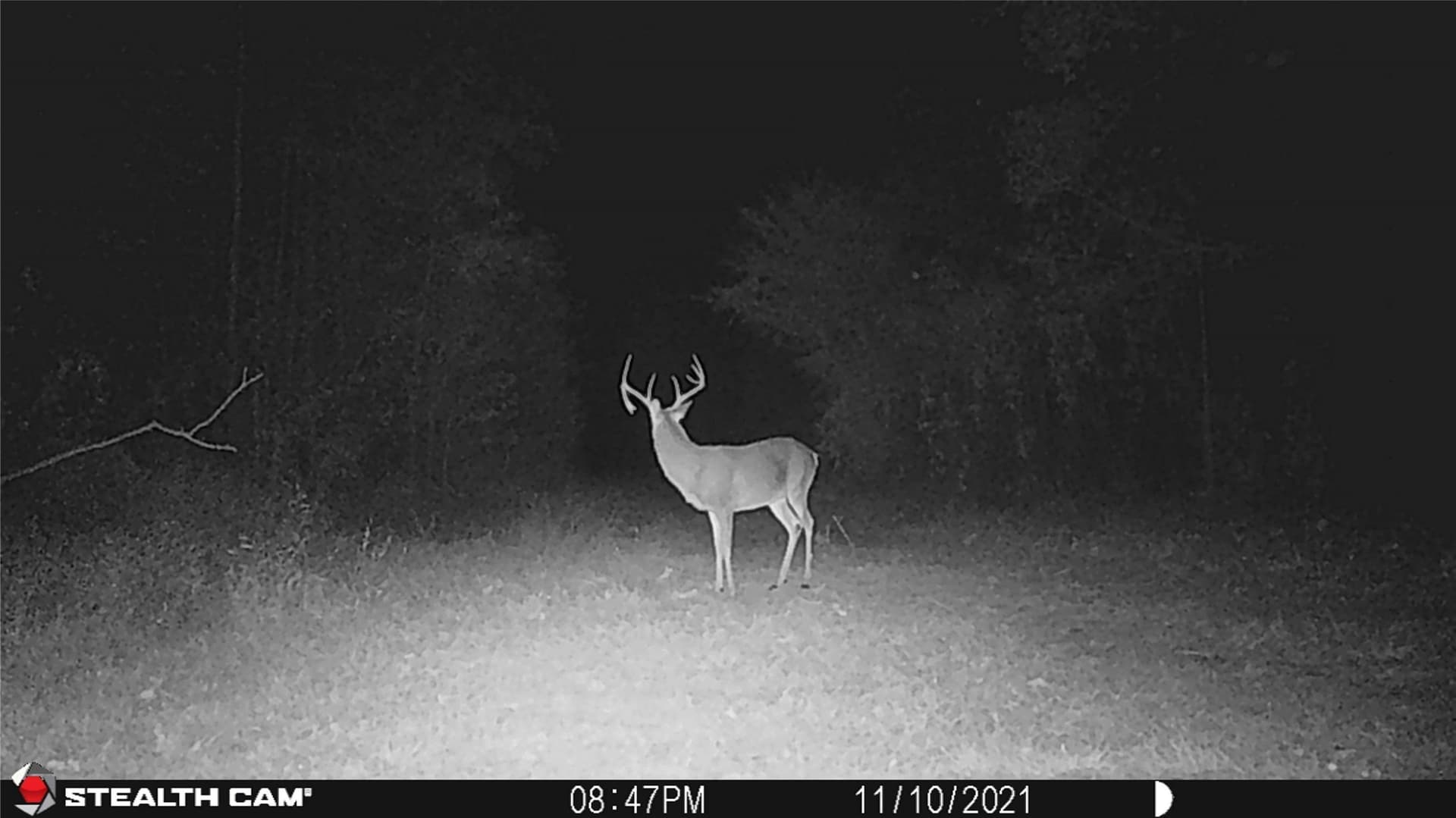 126 acres in Panola County - photo 40