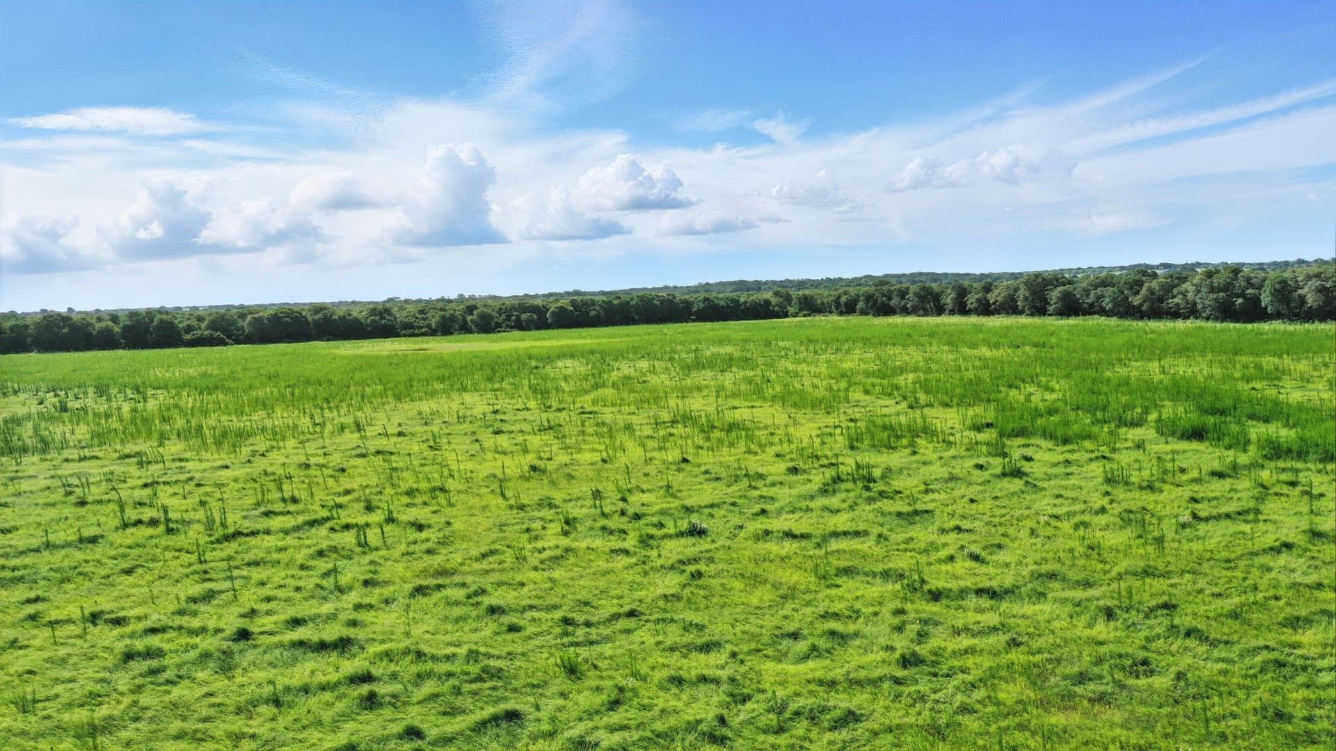 117.25 acres in Eastland County - photo 39