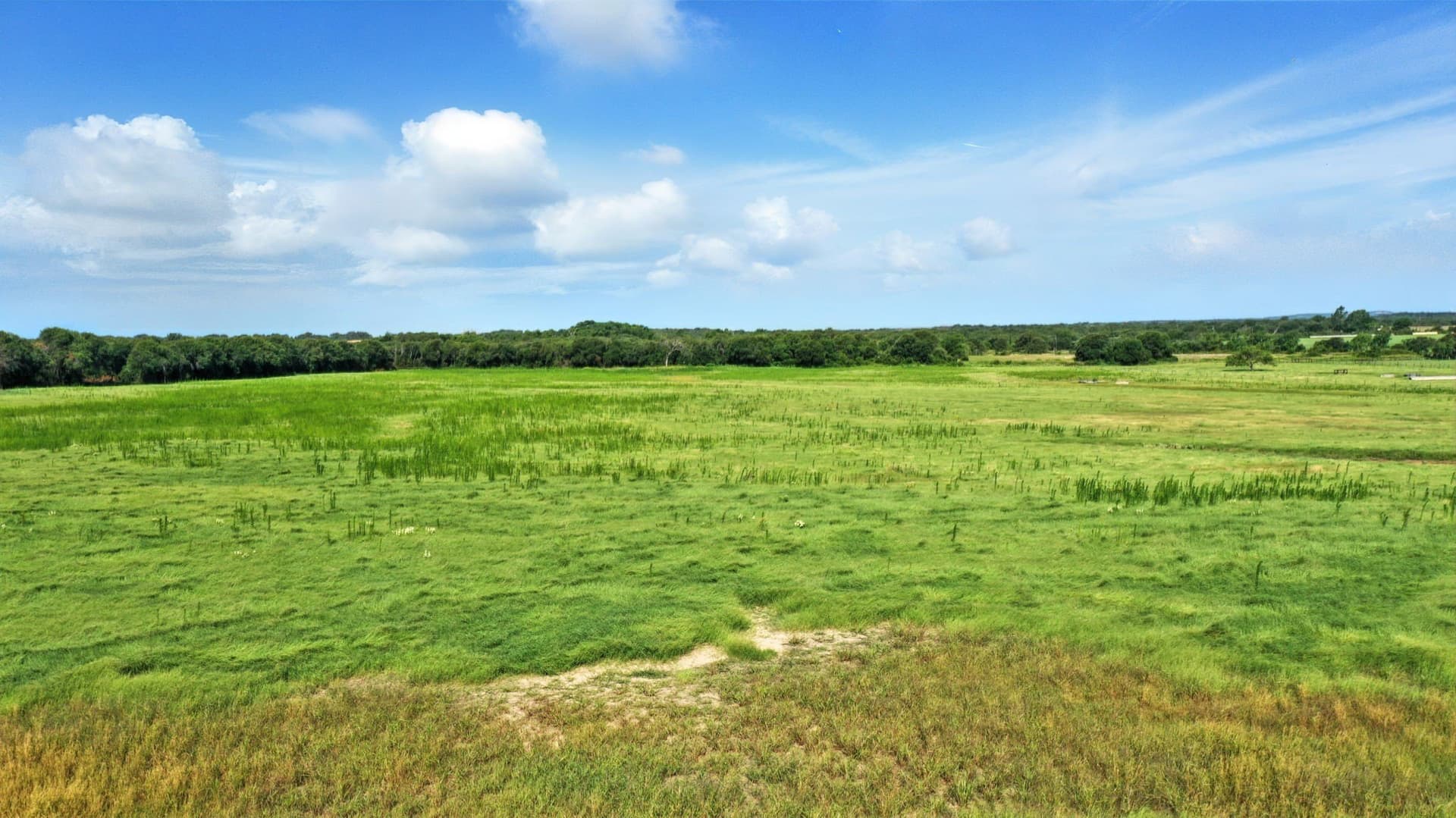 117.25 acres in Eastland County - photo 38