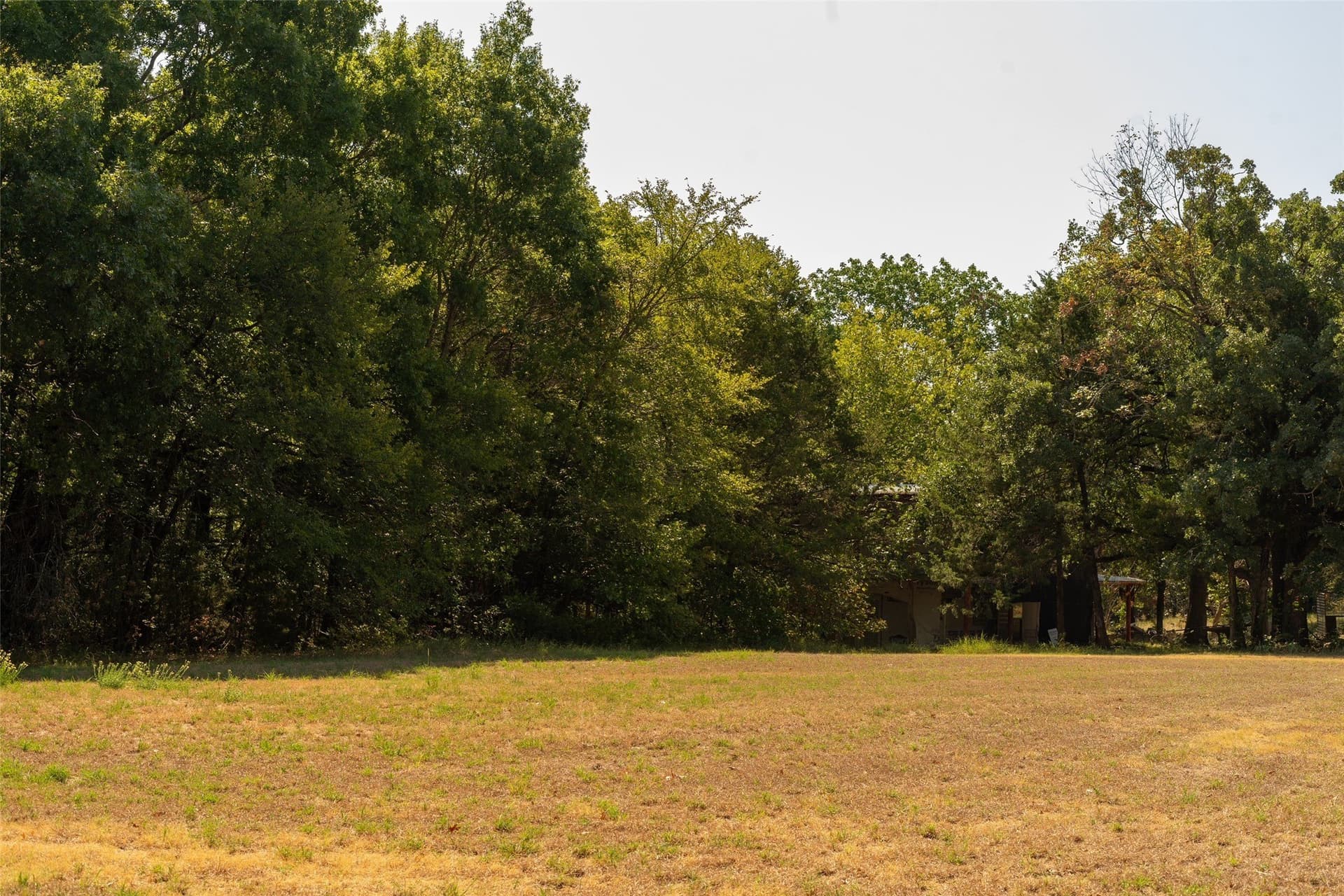 5 acres in Grayson County - photo 3