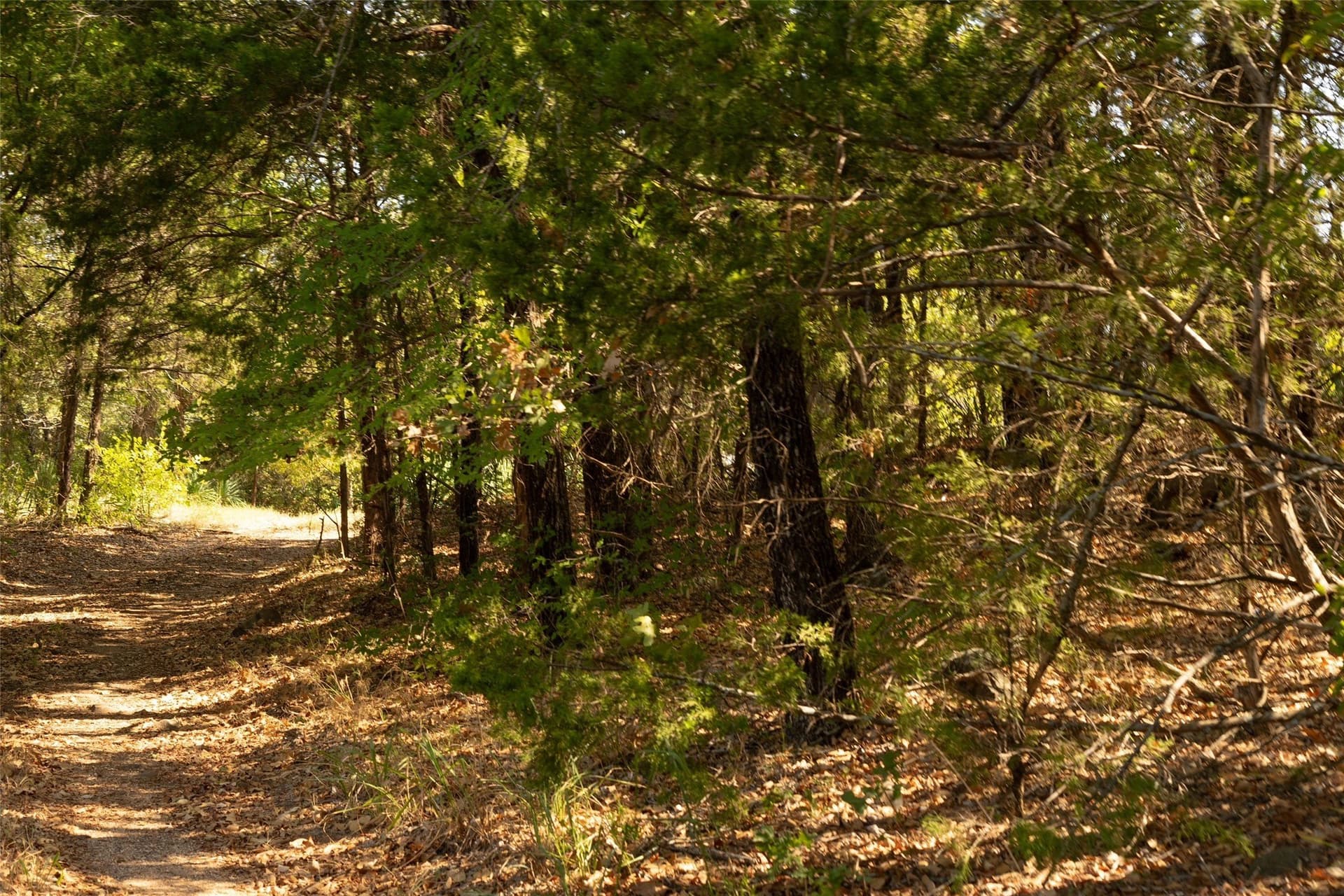 5 acres in Grayson County - photo 5
