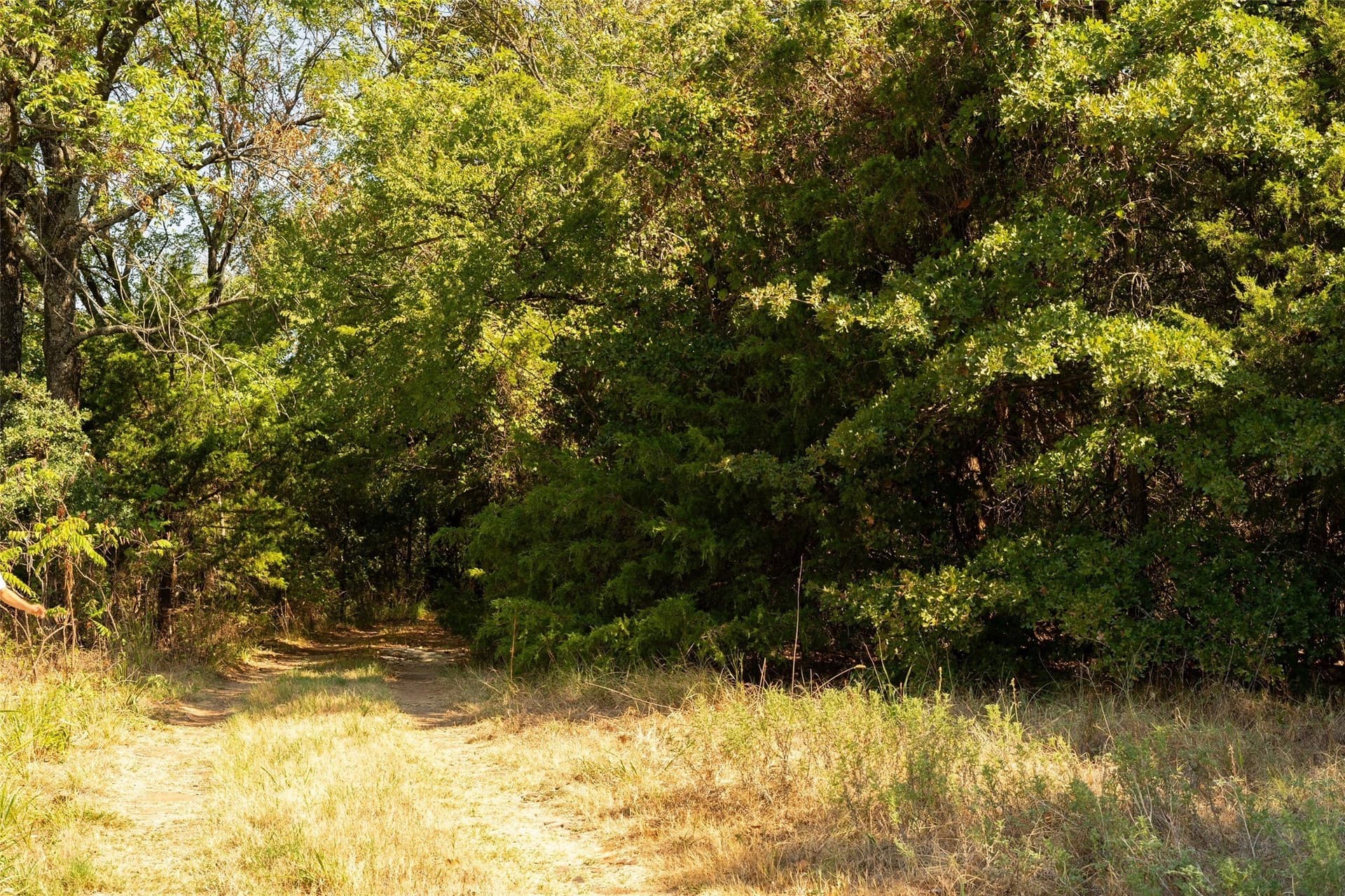 5 acres in Grayson County - photo 6