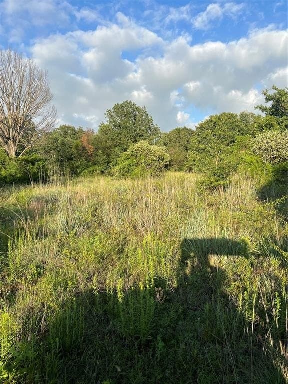 77 acres in Wise County gallery image 4
