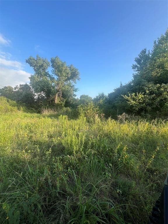 77 acres in Wise County gallery image 3