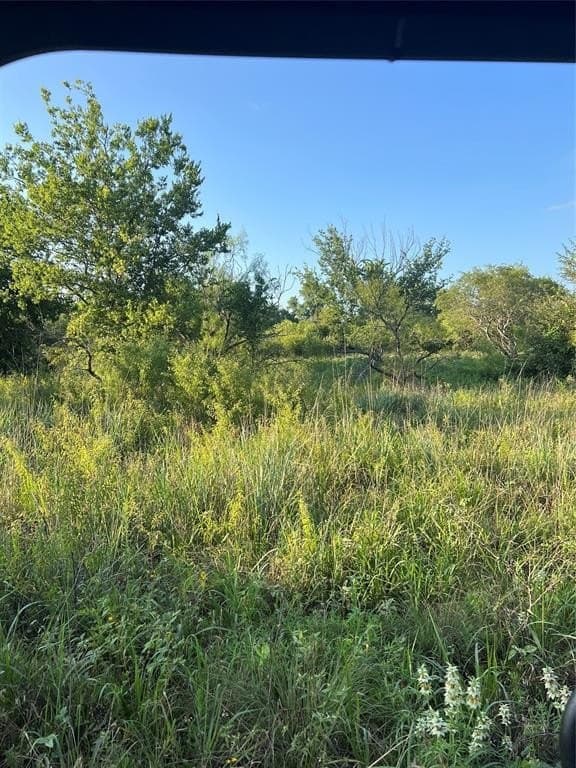 77 acres in Wise County gallery image 2