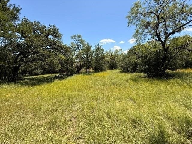 0.33 acres in Llano County gallery image 3