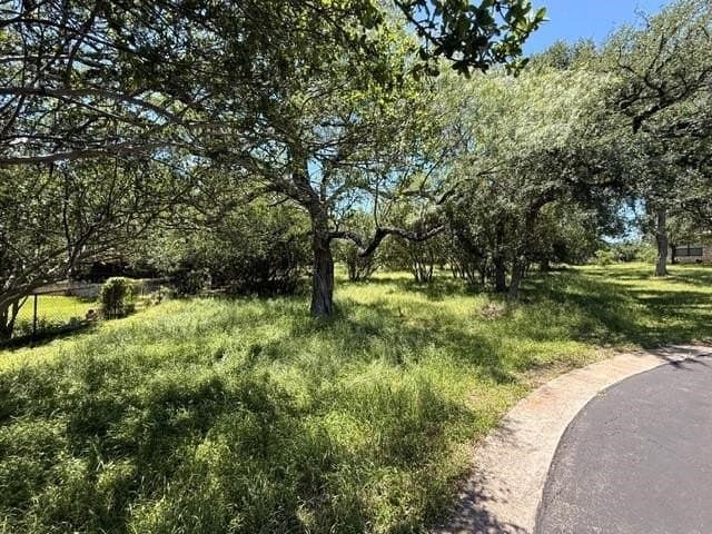 0.33 acres in Llano County gallery image 4