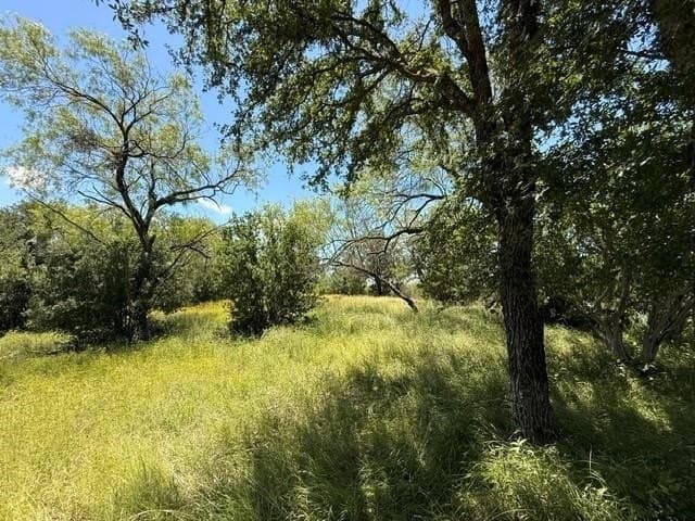0.33 acres in Llano County - photo 6